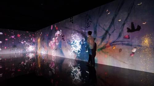 Kolaborasi Art dan Science di teamLab Future Park Jakarta 2019
